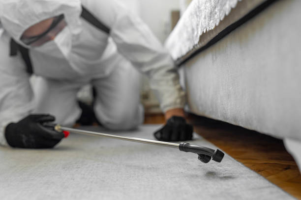 Professional Bed Bug Control technician working in Godfrey, IL