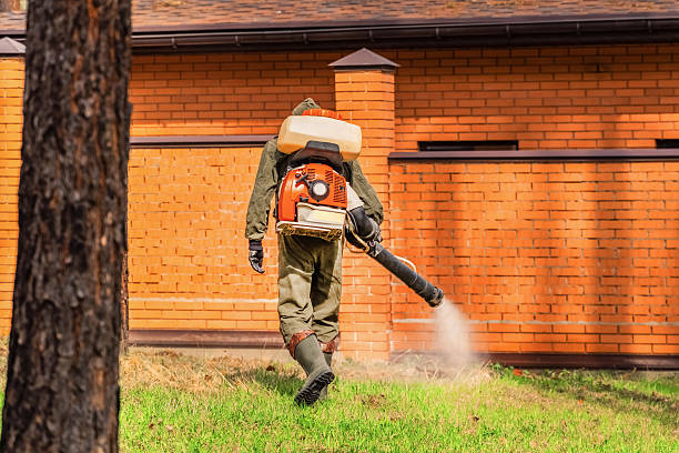 Top rated local Bed Bug Control specialists in Godfrey, IL